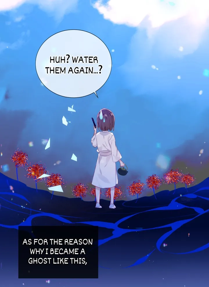 Read My Phoenix