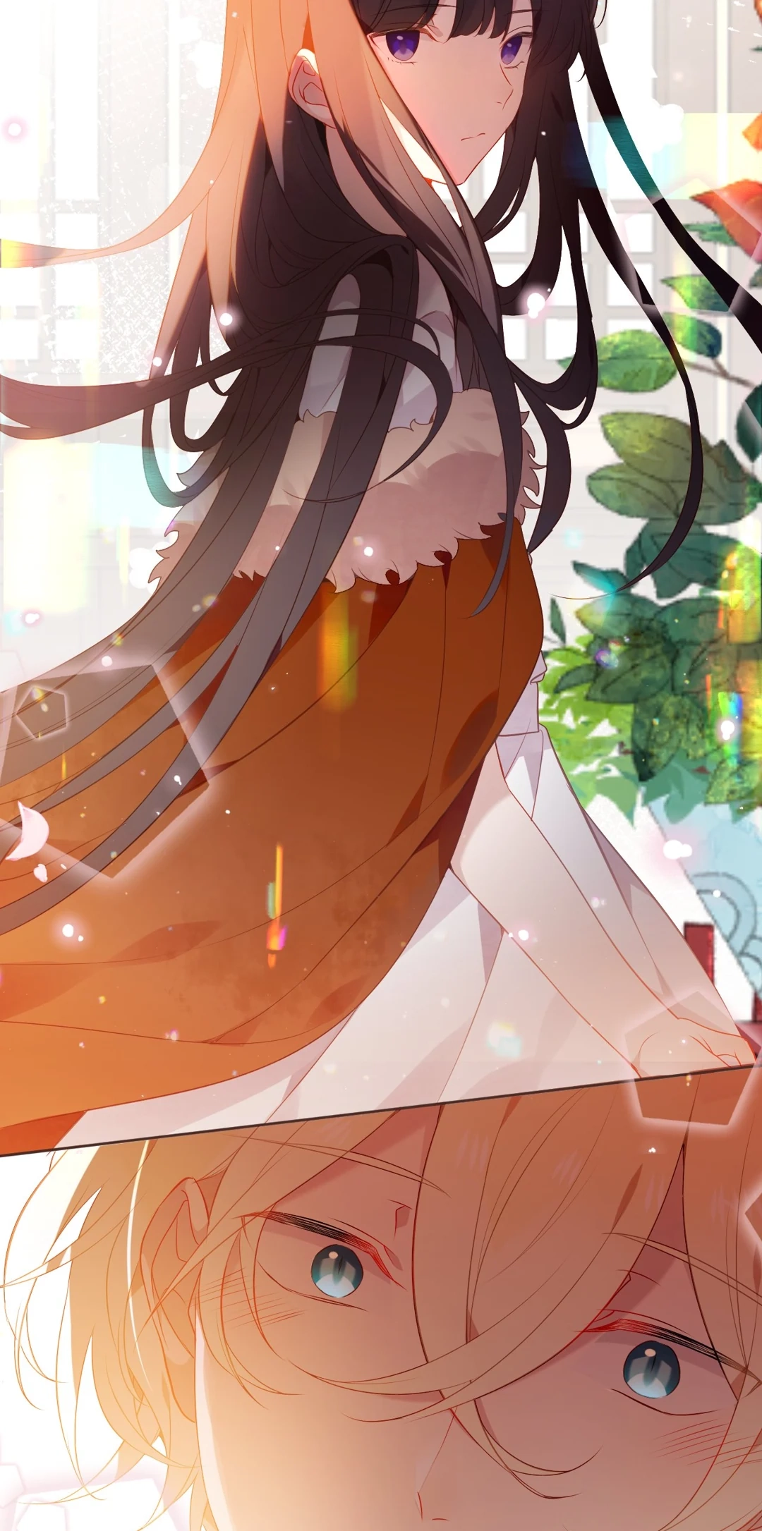 Read My Phoenix