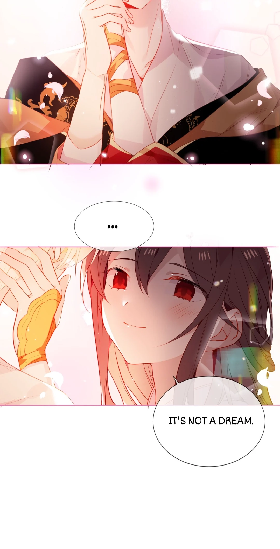 Read My Phoenix