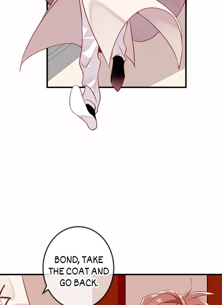 Read My Phoenix