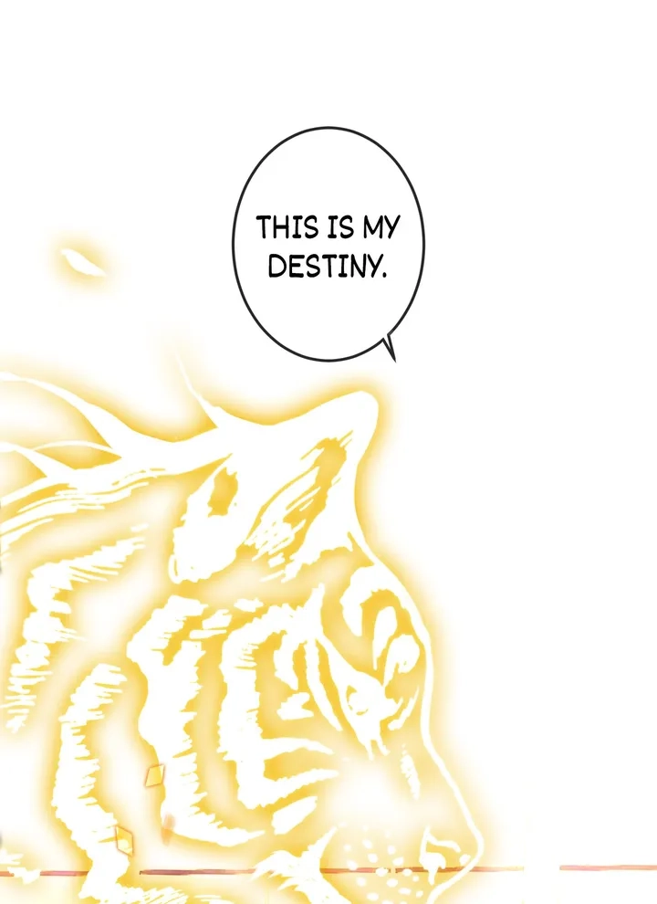 Read My Phoenix
