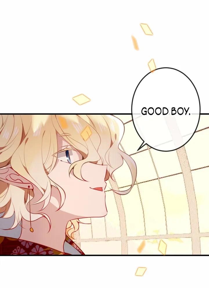 Read My Phoenix