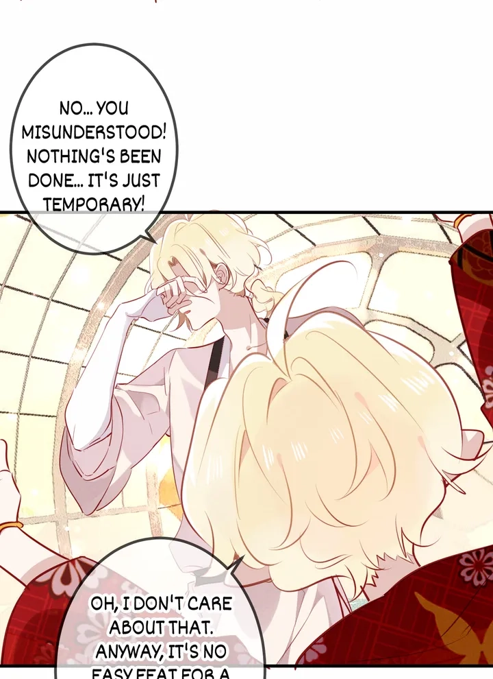 Read My Phoenix