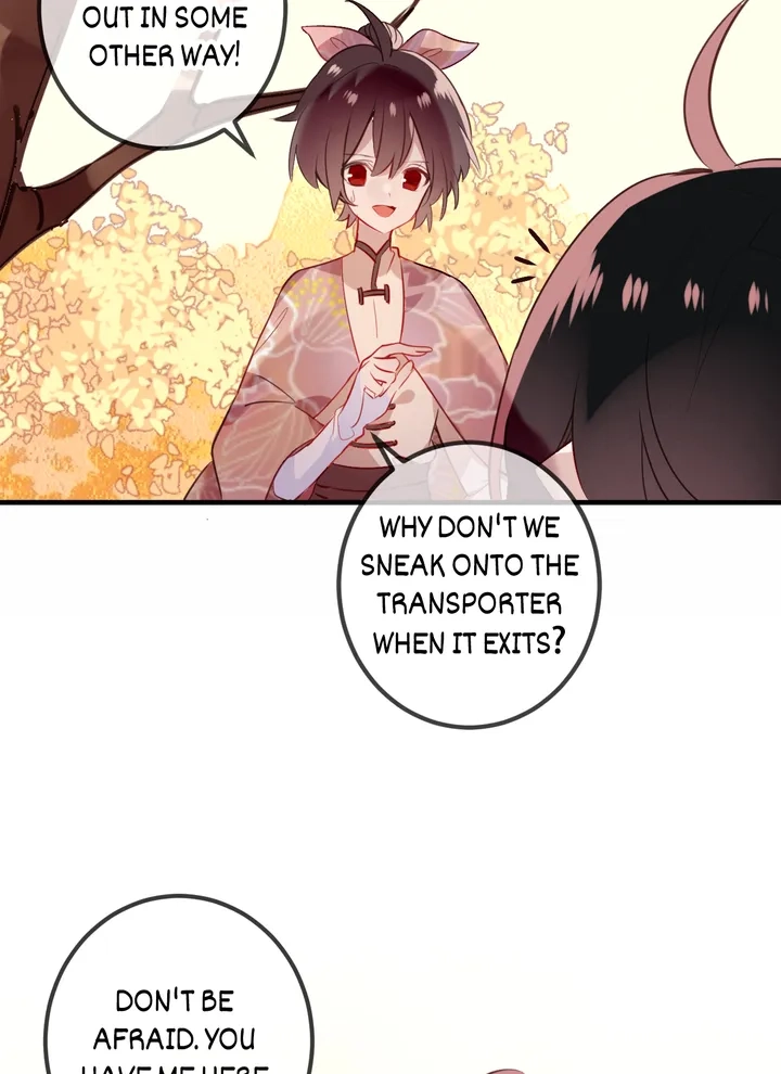 Read My Phoenix