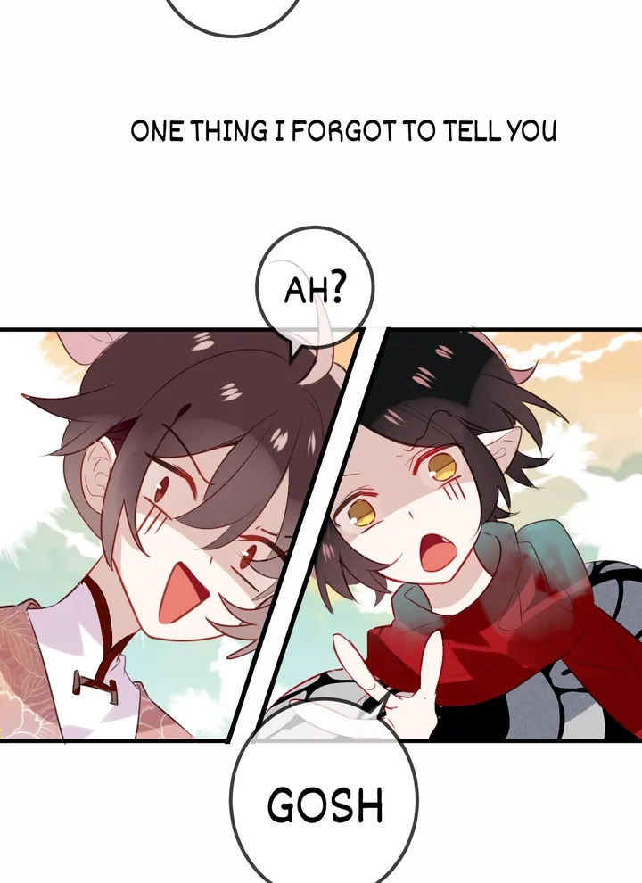 Read My Phoenix