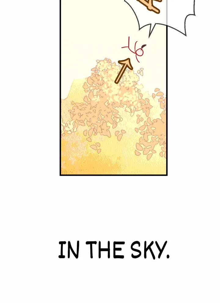 Read My Phoenix