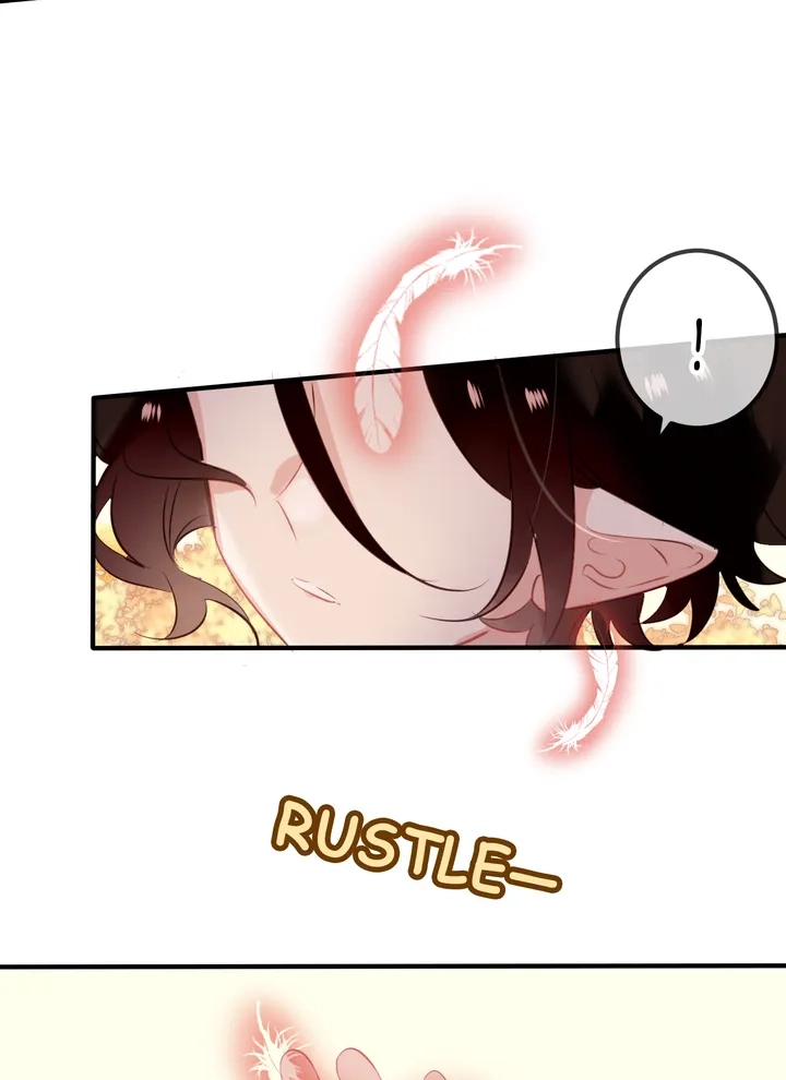 Read My Phoenix