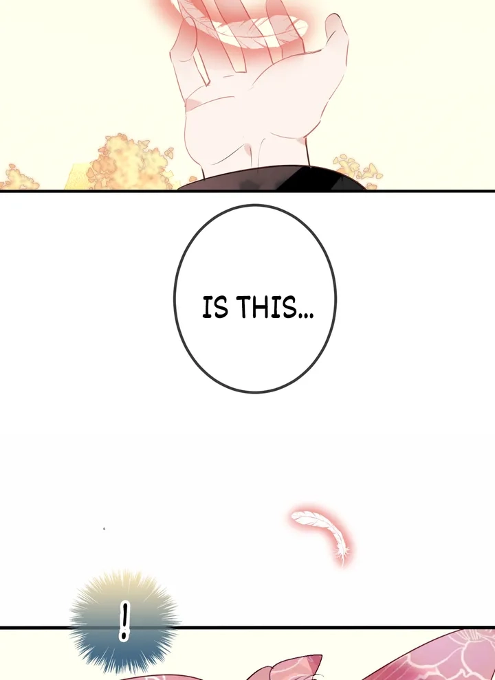 Read My Phoenix