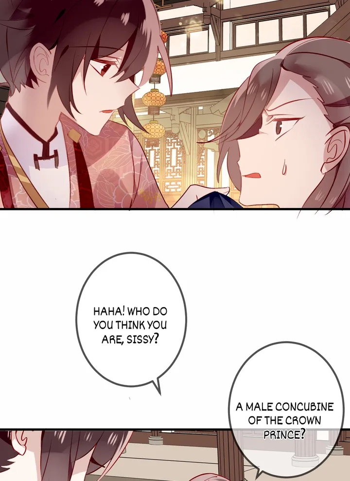 Read My Phoenix