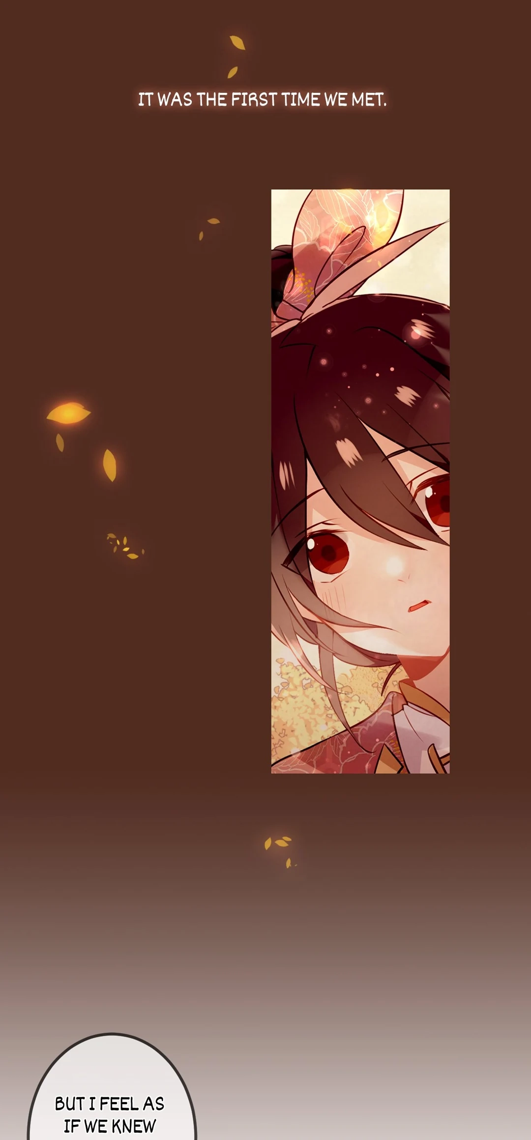 Read My Phoenix