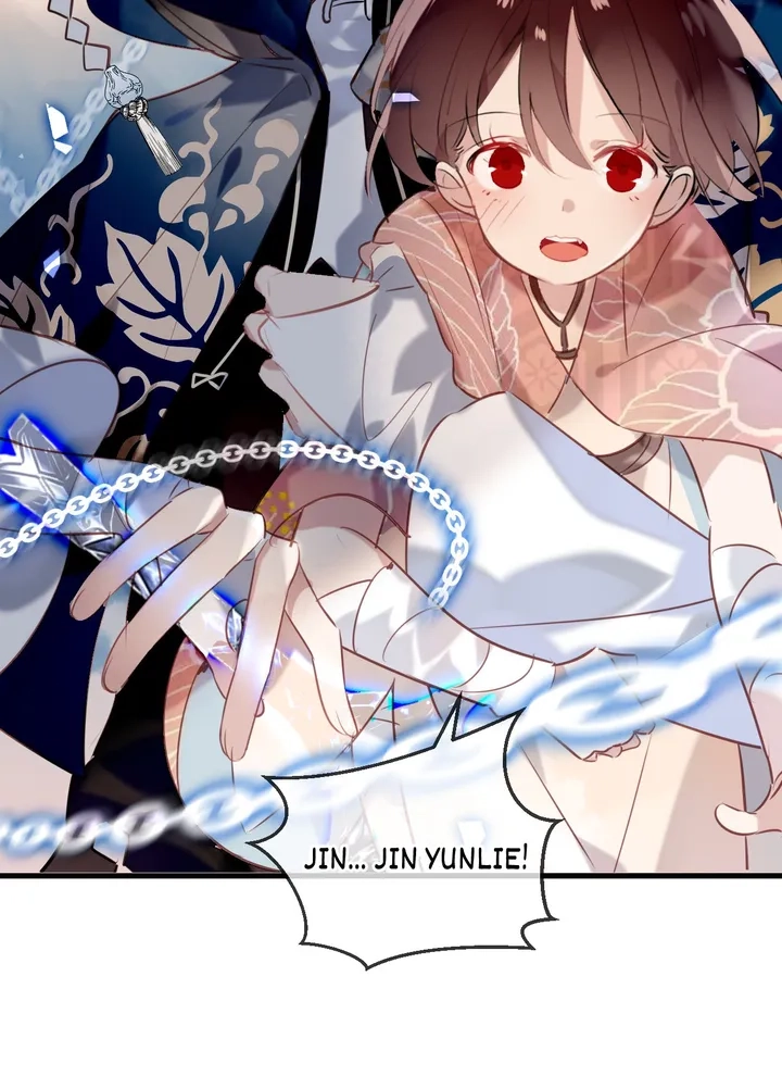 Read My Phoenix