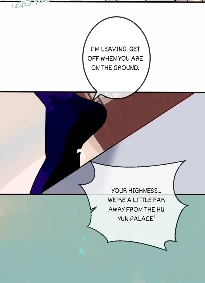 Read My Phoenix