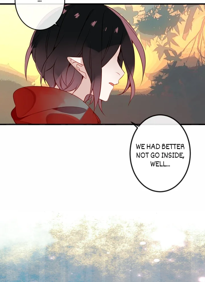 Read My Phoenix