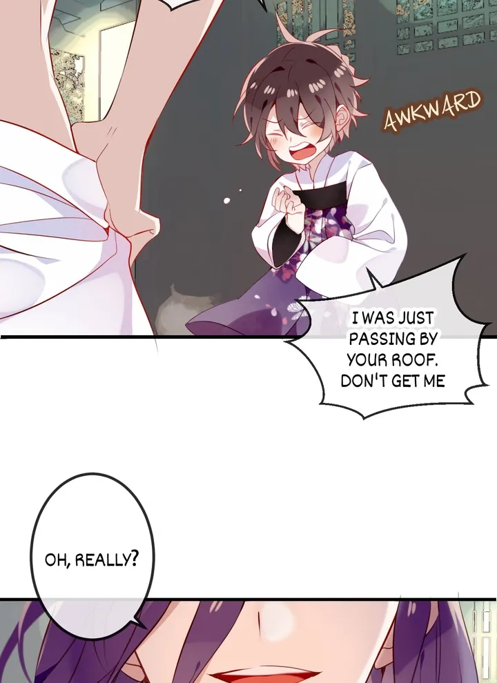 Read My Phoenix