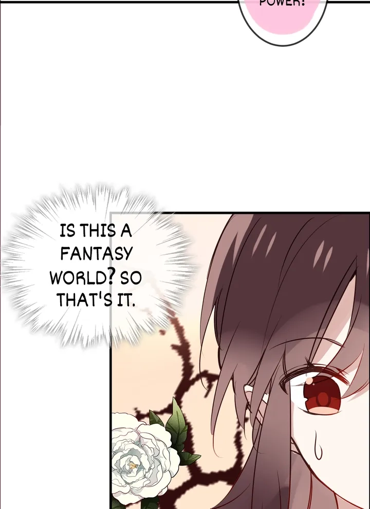 Read My Phoenix