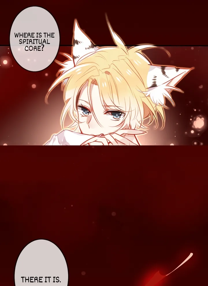 Read My Phoenix