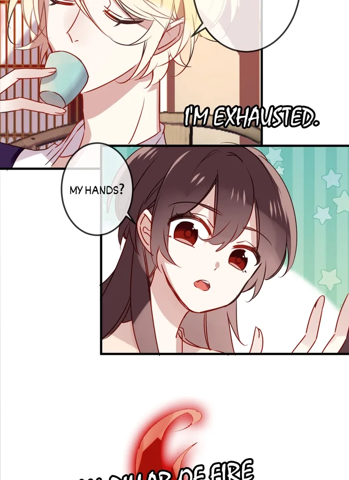 Read My Phoenix