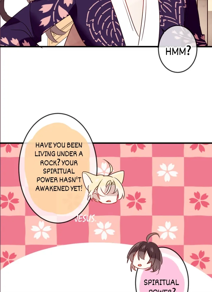 Read My Phoenix
