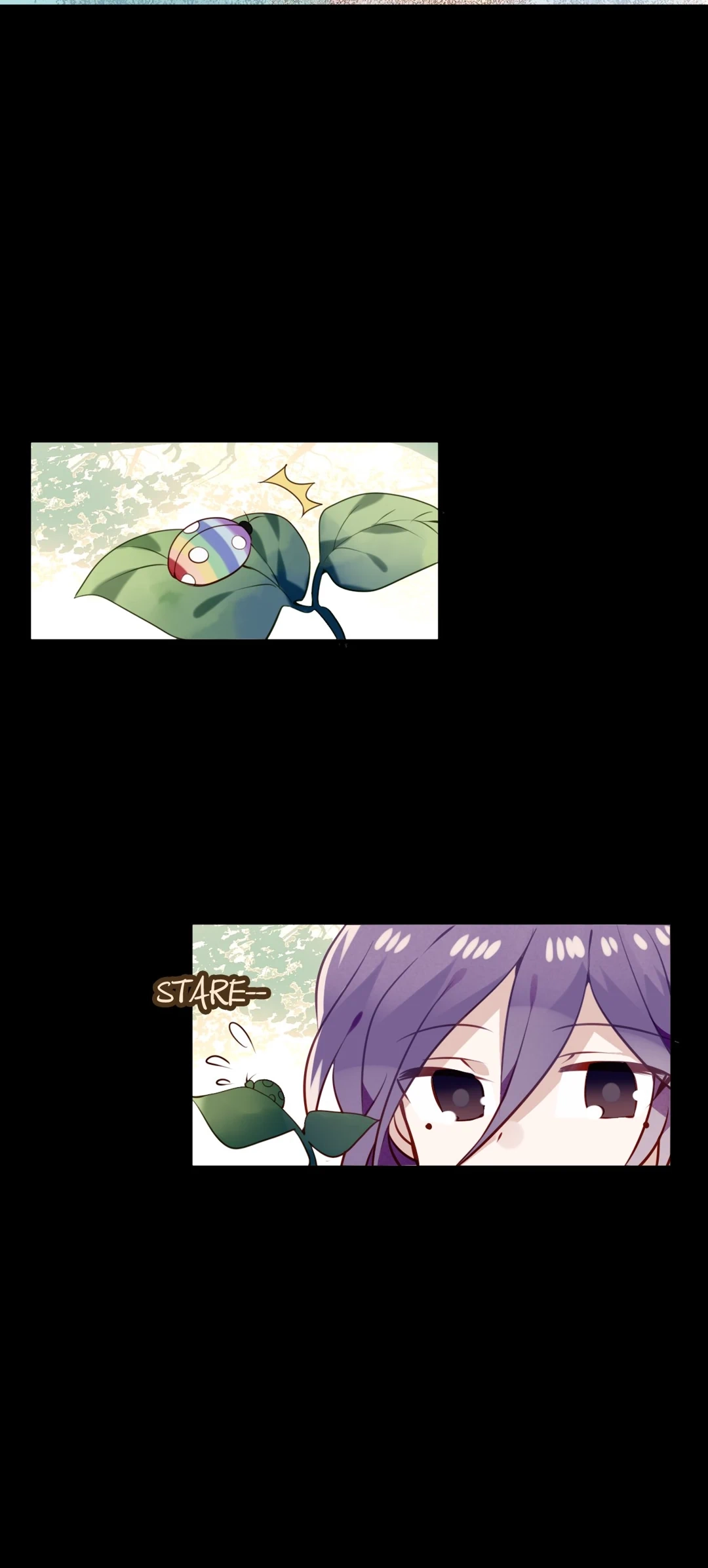 Read My Phoenix