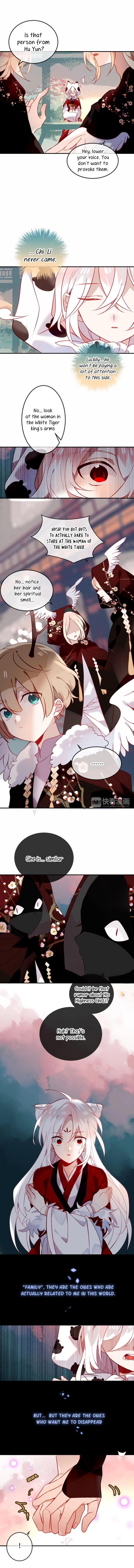Read My Phoenix