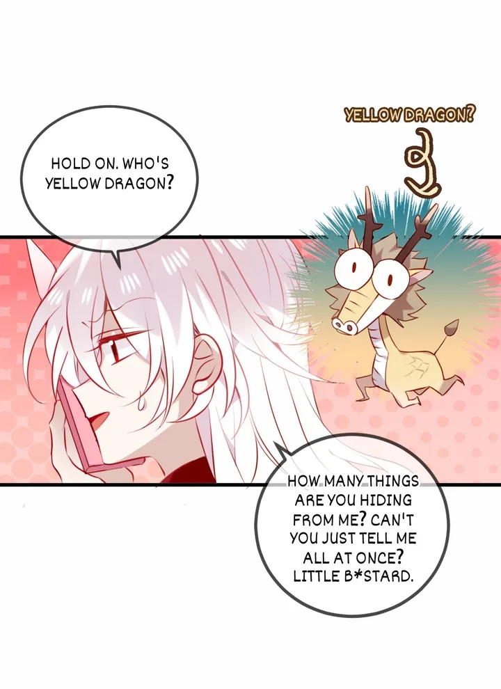Read My Phoenix