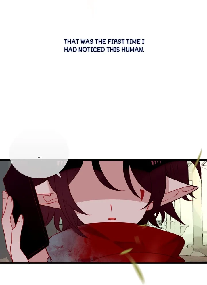 Read My Phoenix