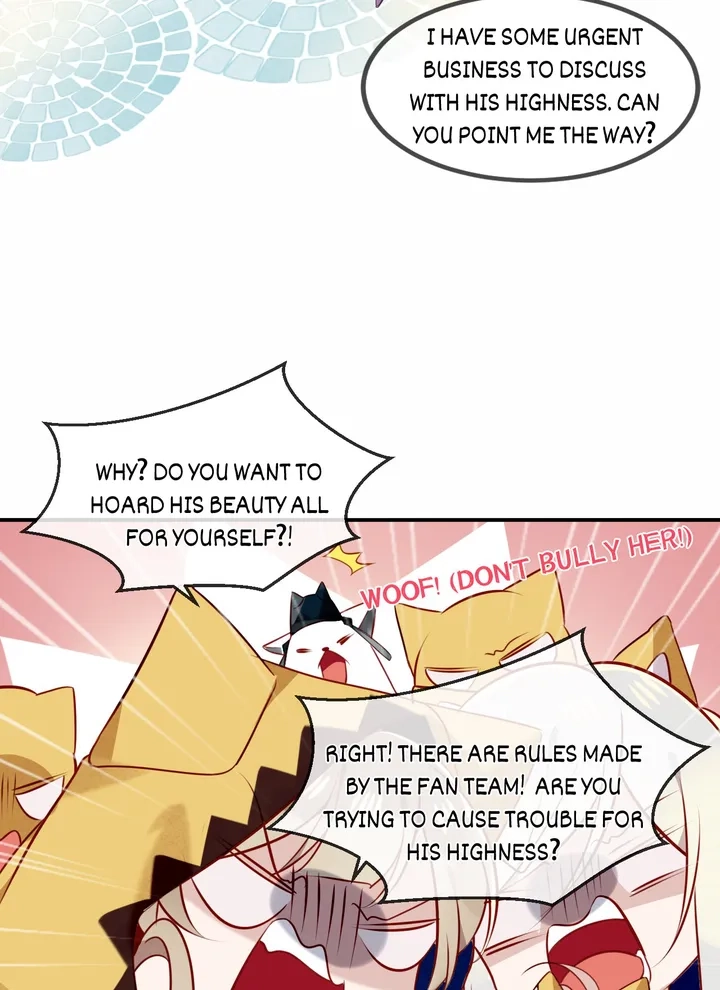 Read My Phoenix