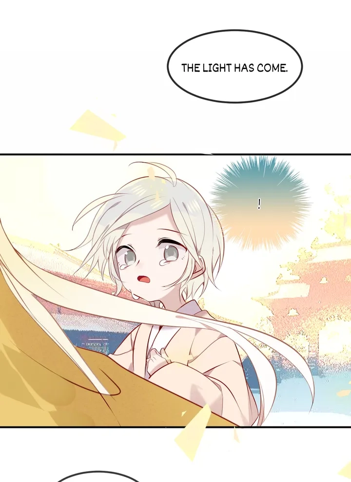 Read My Phoenix