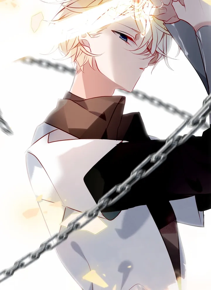 Read My Phoenix