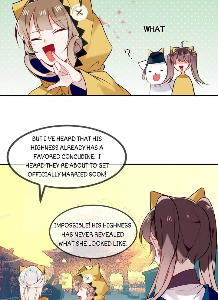Read My Phoenix