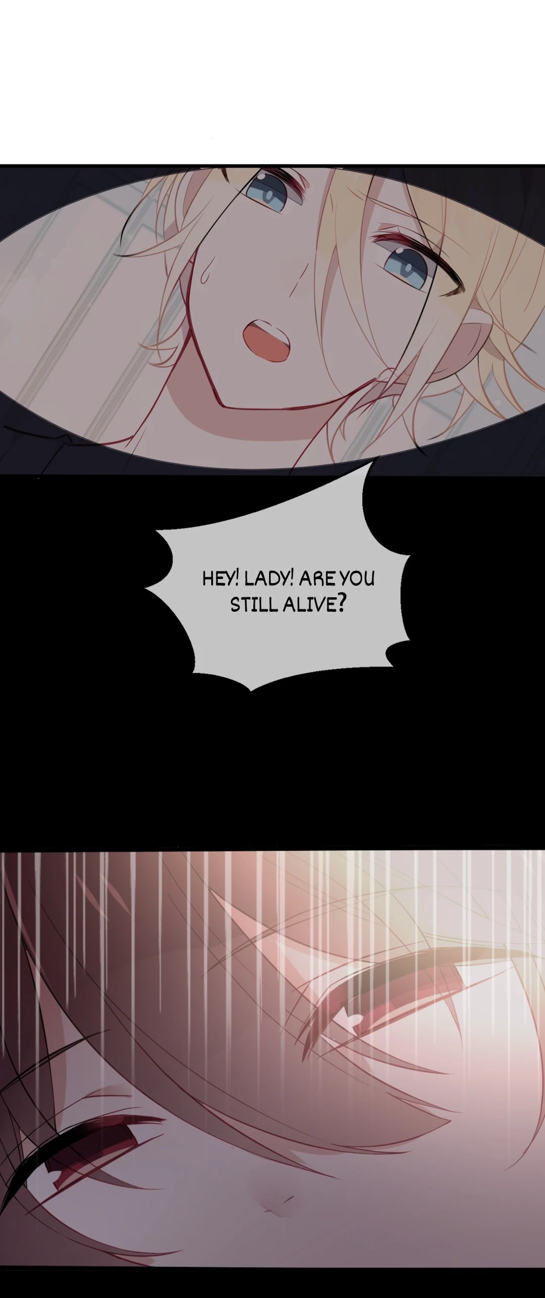 Read My Phoenix