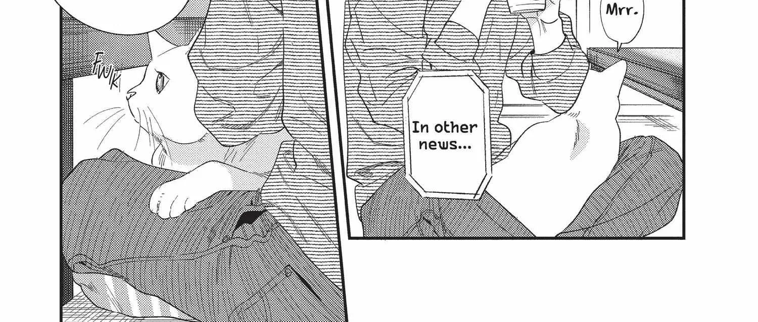 Read My Pretty Policeman chapter 12 image 6 on Lezhin