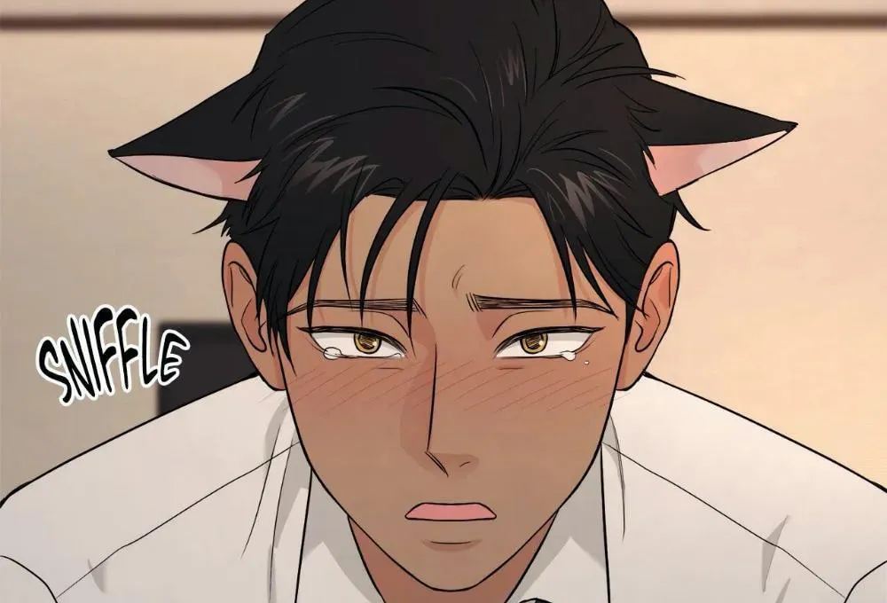 My Purrfect Boss! Chapter 13 page 54 - 