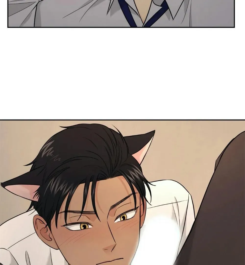 My Purrfect Boss! Chapter 13 page 62 - 