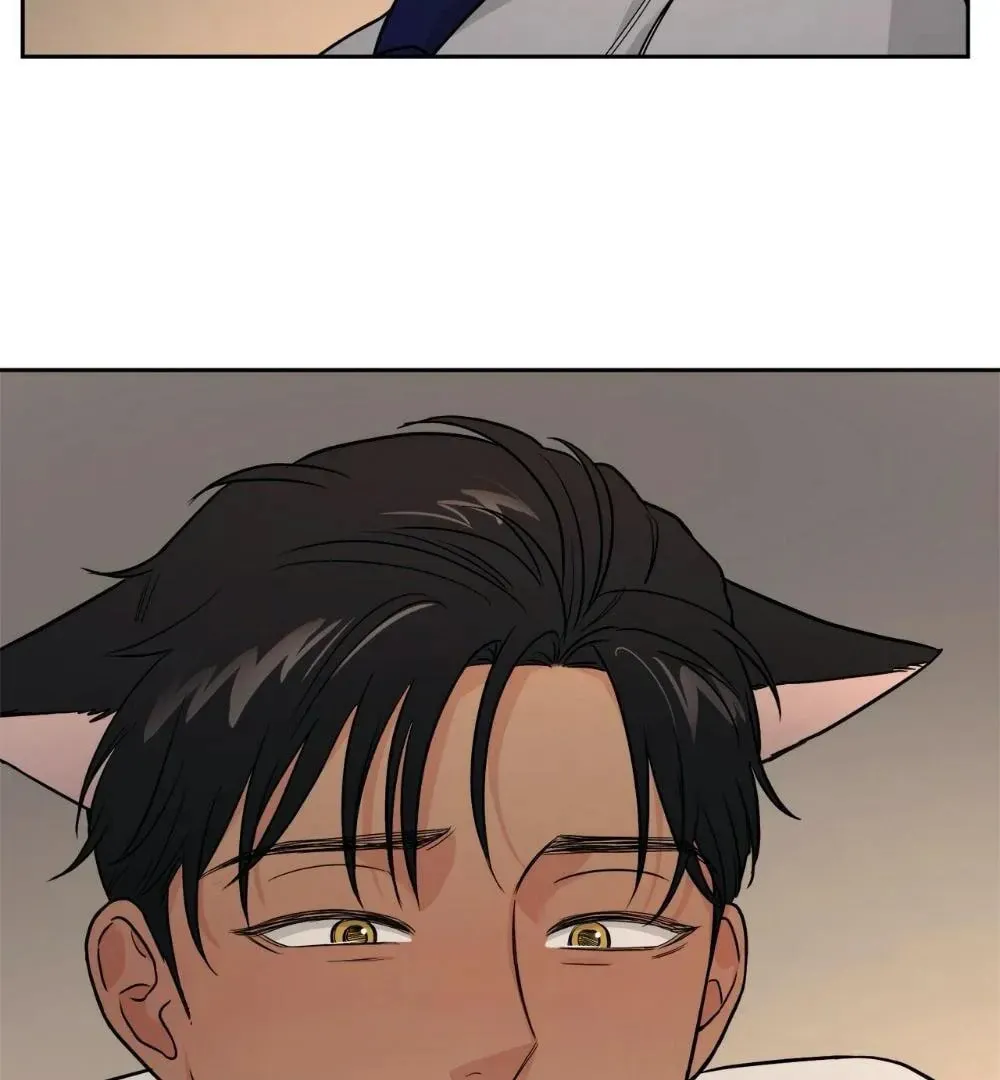 My Purrfect Boss! Chapter 13 page 67 - 
