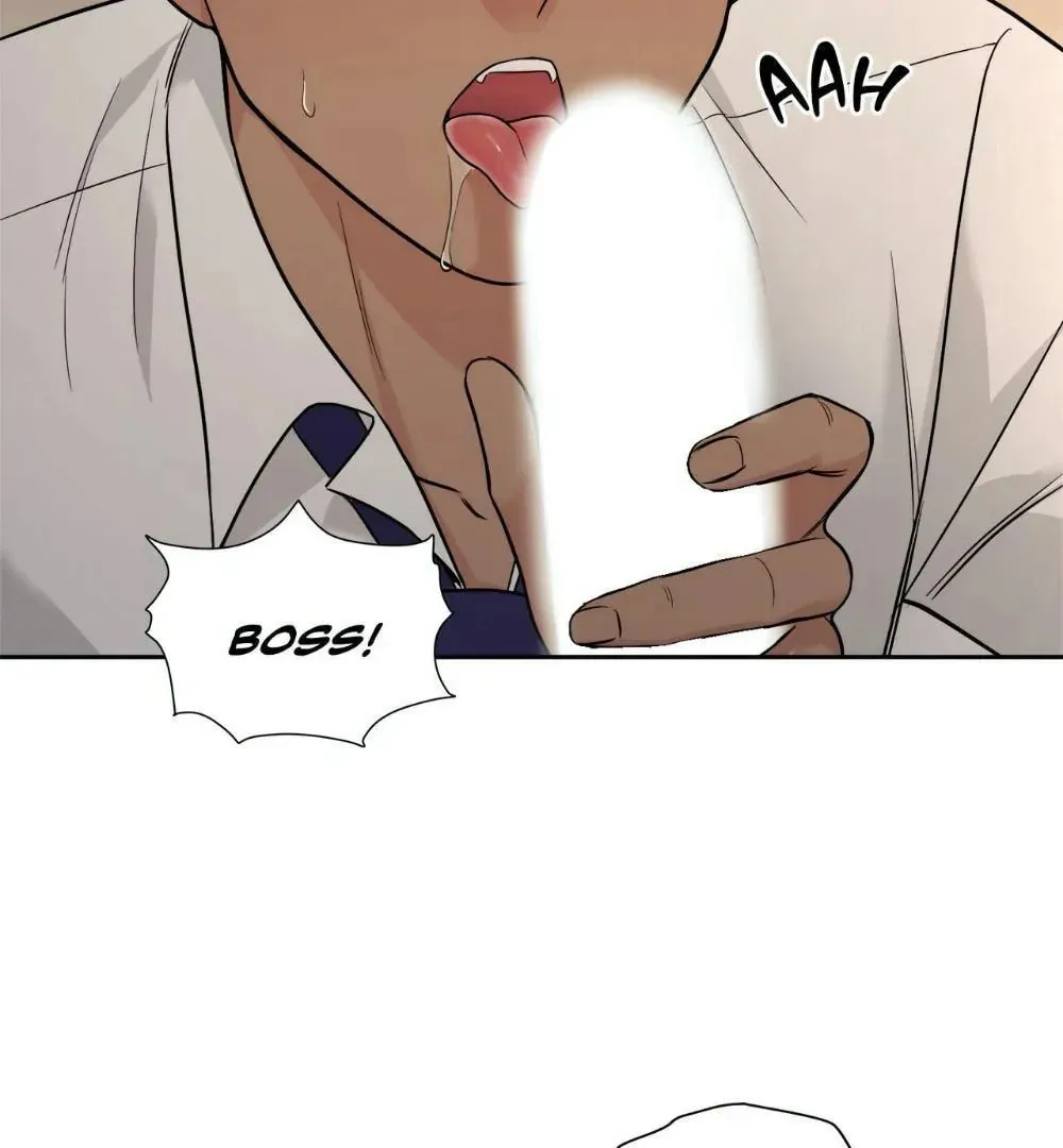 My Purrfect Boss! Chapter 13 page 68 - 