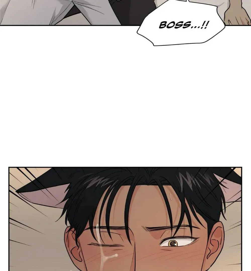 My Purrfect Boss! Chapter 13 page 77 - 