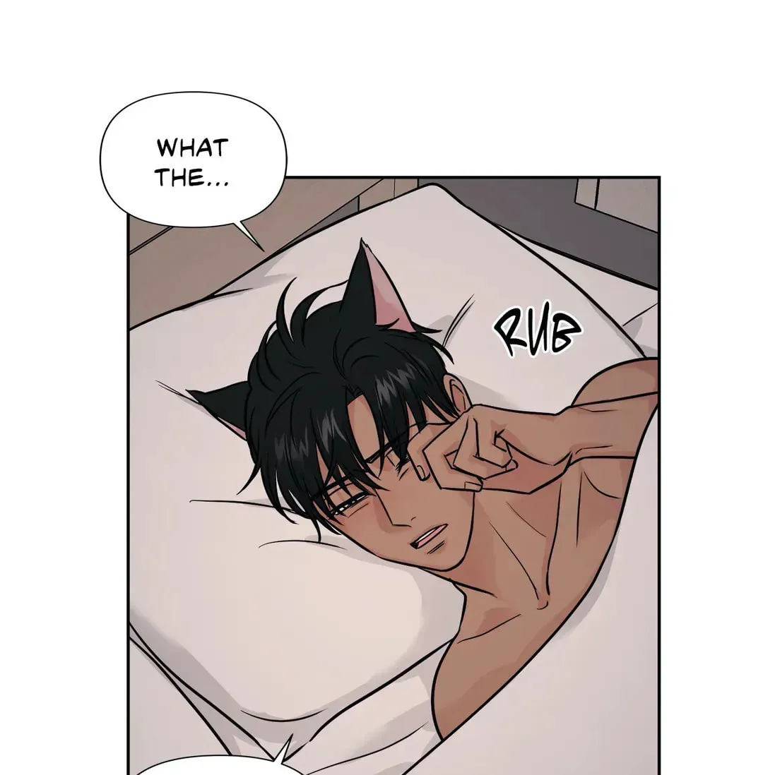 My Purrfect Boss! Chapter 21 page 63 - 
