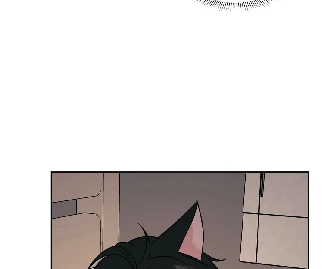 My Purrfect Boss! Chapter 21 page 75 - 