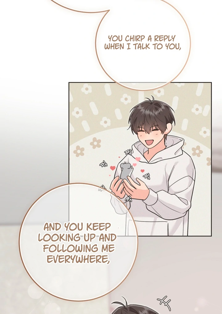 My Rat Is an S-Class Awakener Chapter 17 page 43 - 