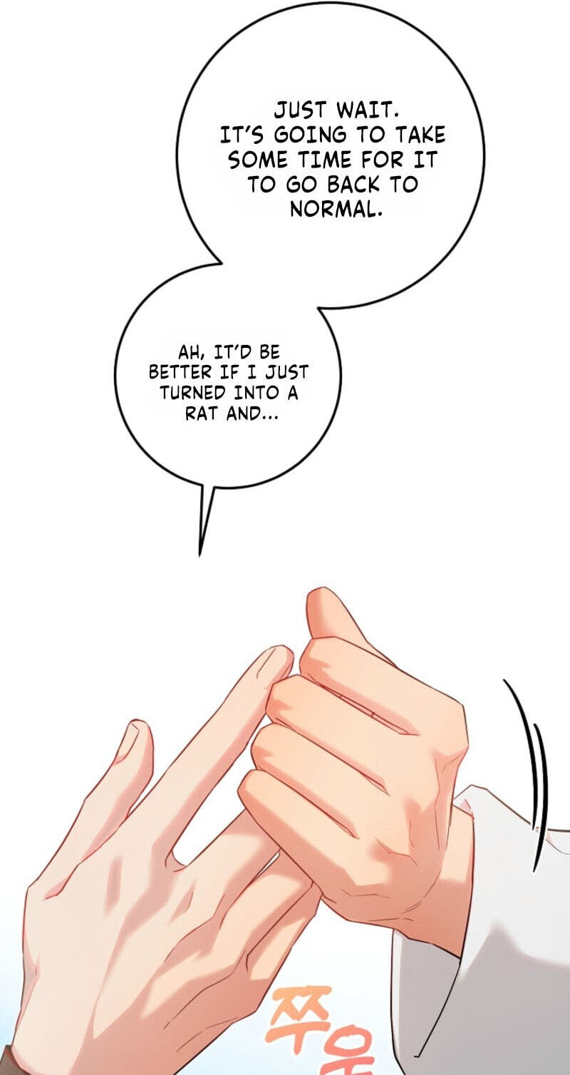 My Rat Is an S-Class Awakener Chapter 32 page 71 - 
