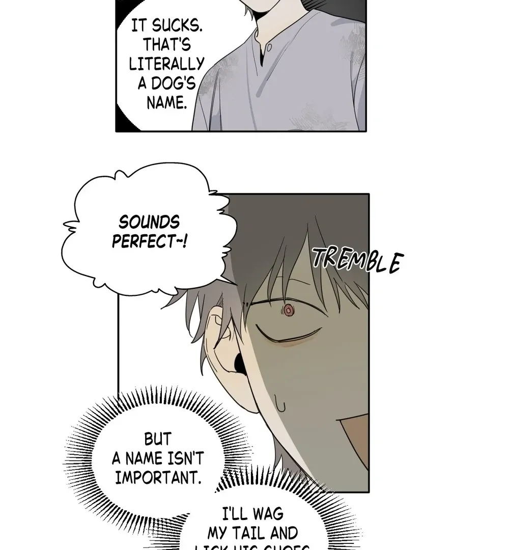 Read My Refuge chapter 1 image 63 on Lezhin