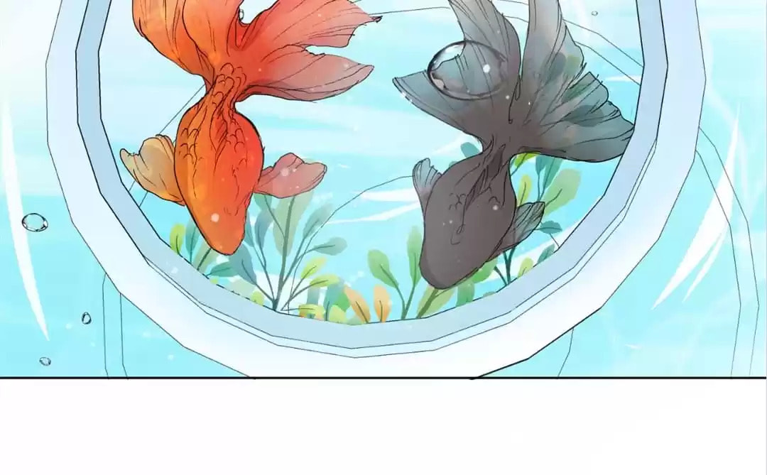 Read My Romance Tutor (Colored) chapter 16 image 101 on Lezhin