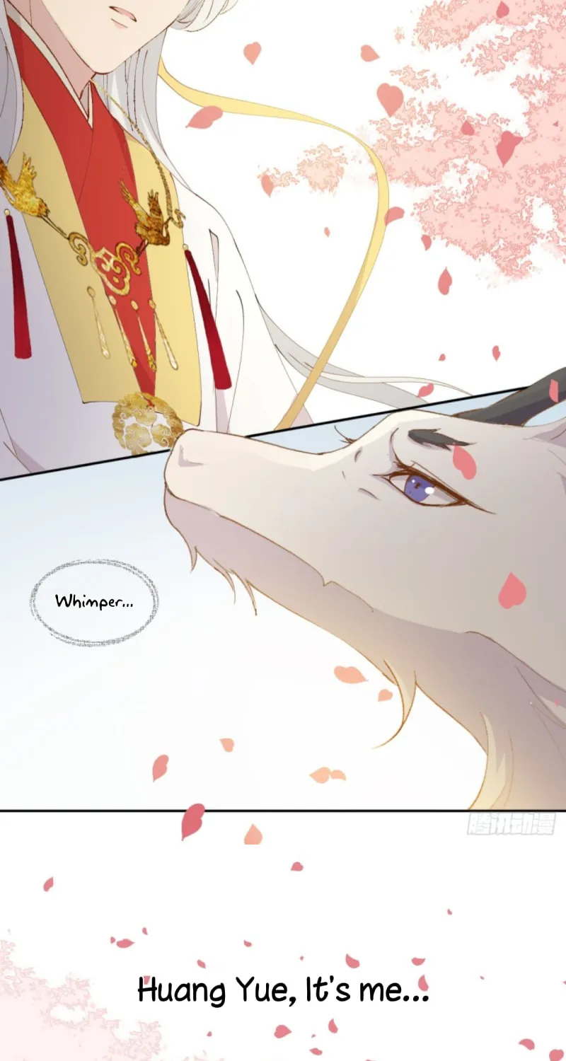Read My Romance Tutor (Colored) chapter 2 image 5 on Lezhin