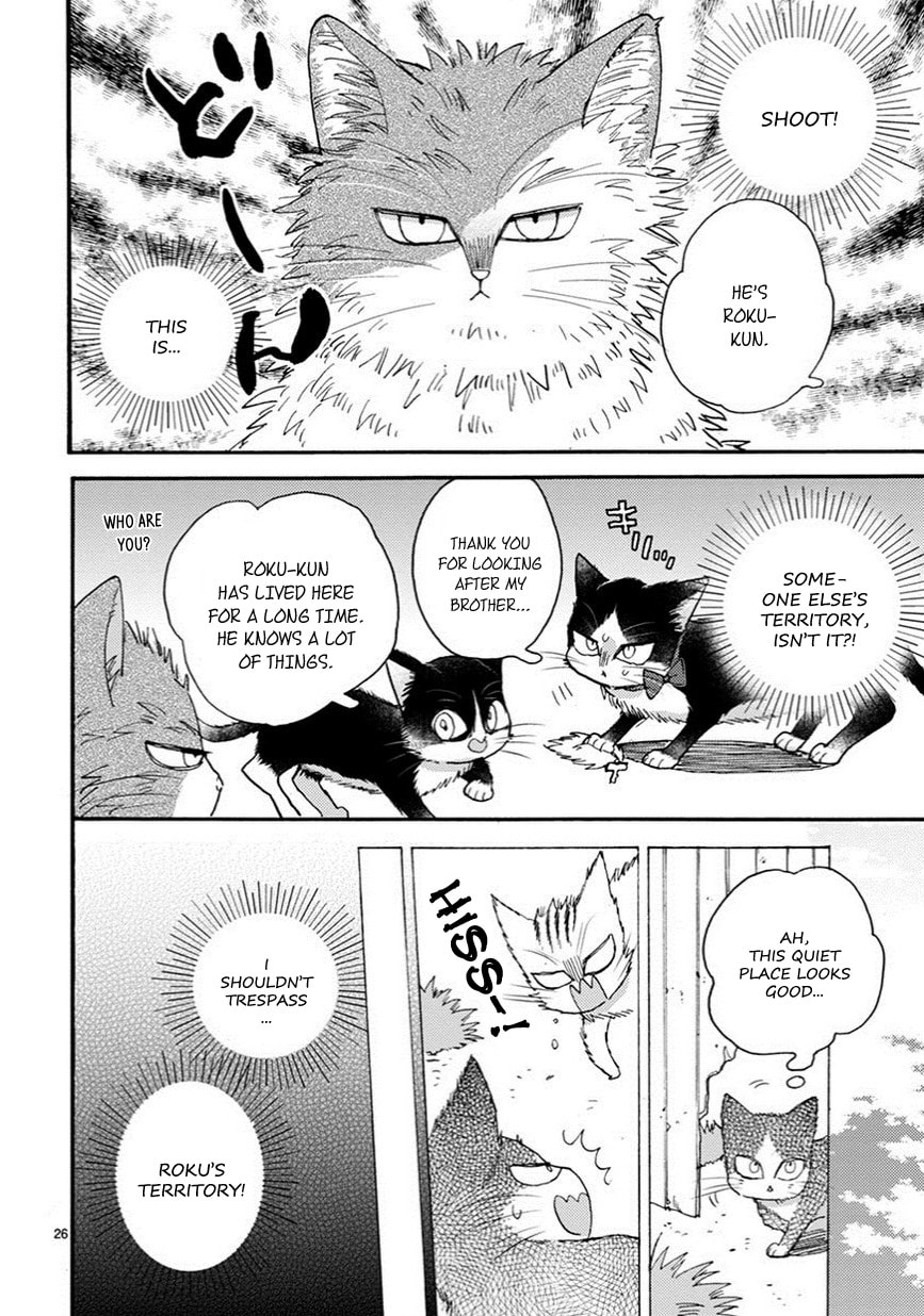 Read My Roommate is a Cat chapter 10.1 image 2 on Lezhin