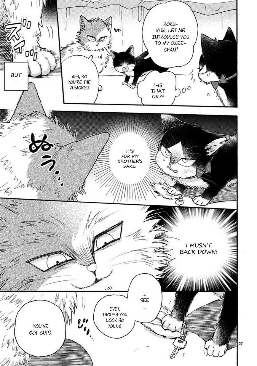 Read My Roommate is a Cat chapter 10.1 image 3 on Lezhin