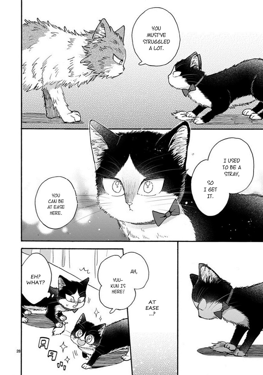 Read My Roommate is a Cat chapter 10.1 image 4 on Lezhin