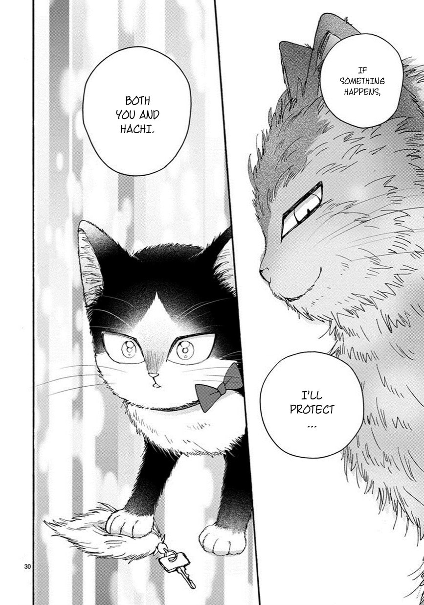 Read My Roommate is a Cat chapter 10.1 image 6 on Lezhin