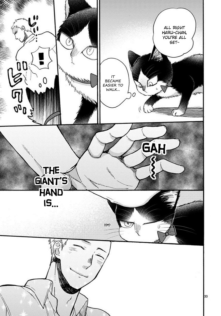 Read My Roommate is a Cat chapter 10.1 image 9 on Lezhin
