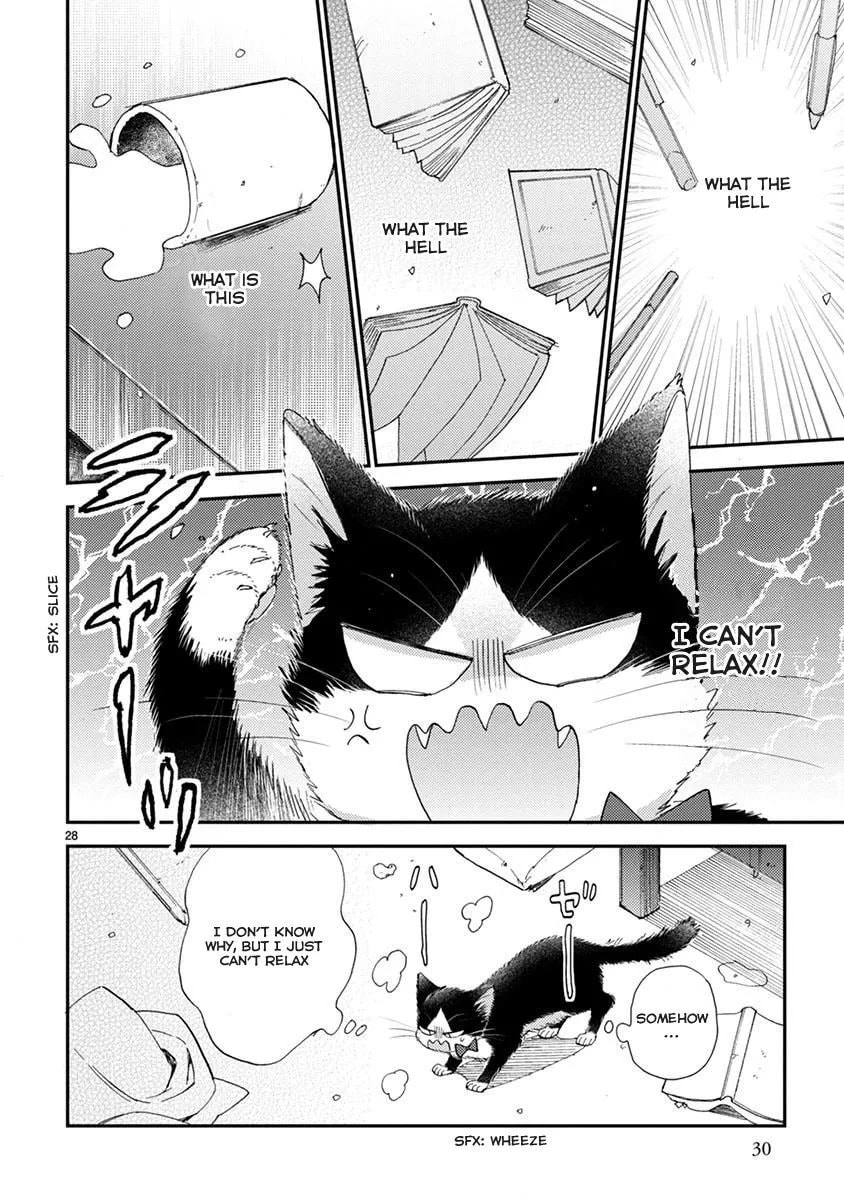 Read My Roommate is a Cat chapter 13.1 image 2 on Lezhin